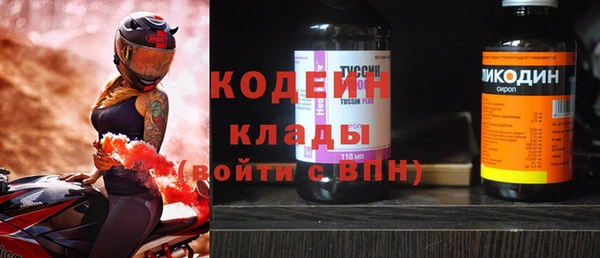 прущие грибы Бугульма