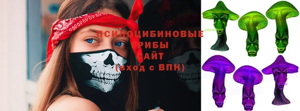 тгк Беломорск