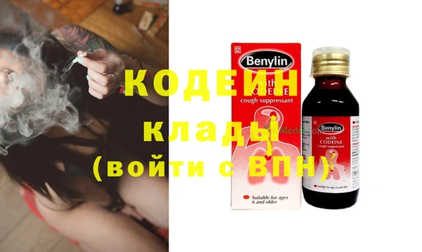 прущие грибы Бугульма