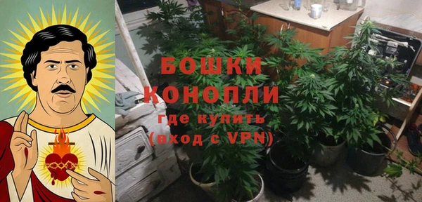 apvp Бородино