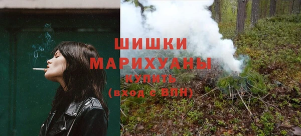 прущие грибы Бугульма