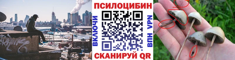 Псилоцибиновые грибы ЛСД  ОМГ ОМГ сайт  Верхняя Пышма 